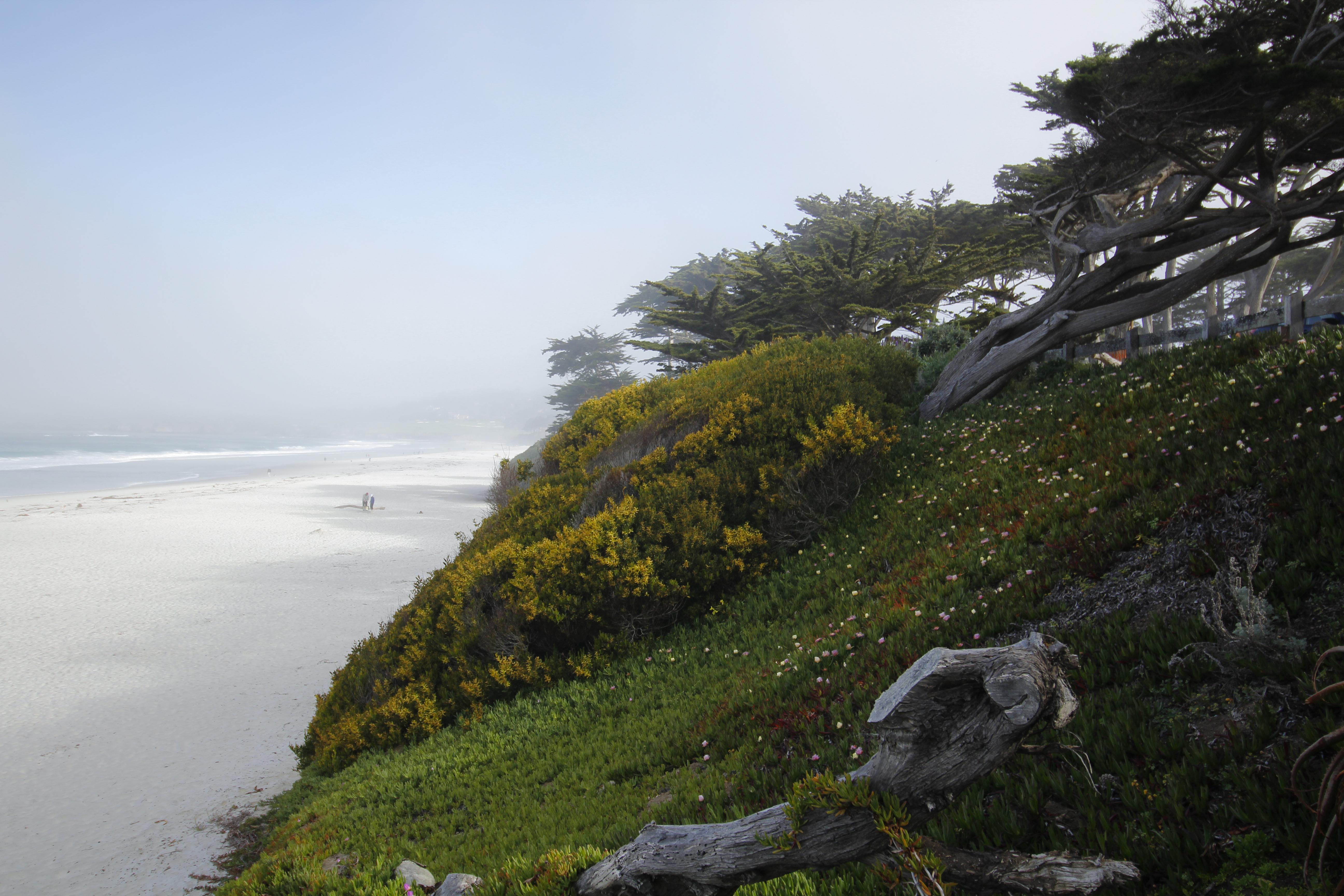 ホテル カーメル ヴィレッジ イン Carmel-by-the-Sea エクステリア 写真